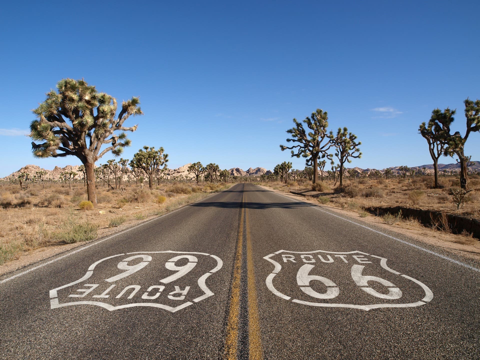 Route 66: The Ultimate US Road Trip