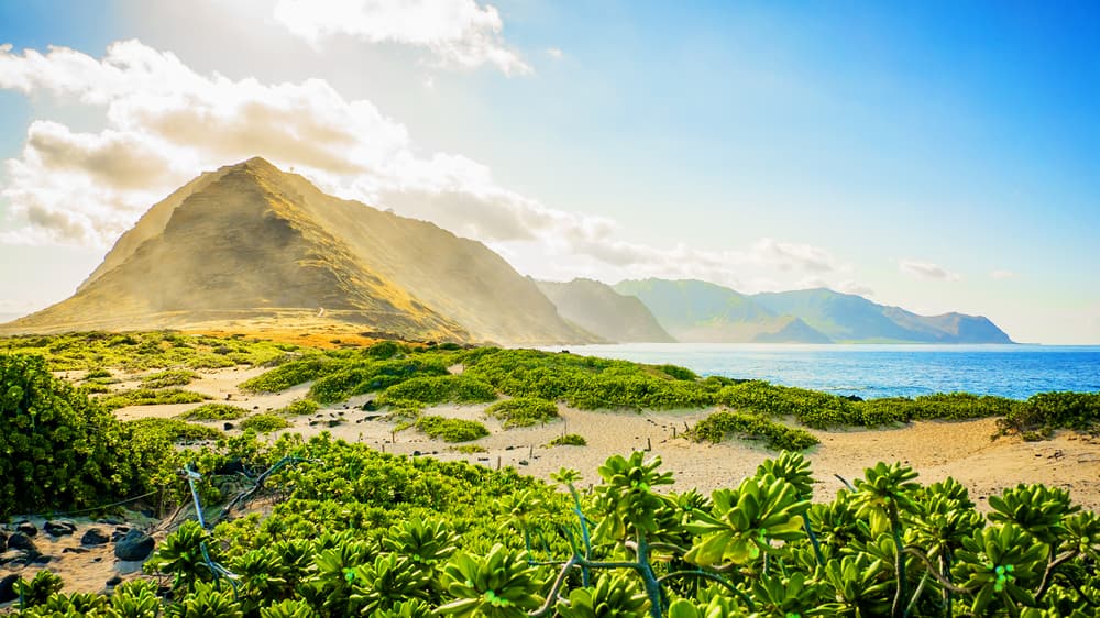 Ka'ena Point State Park
