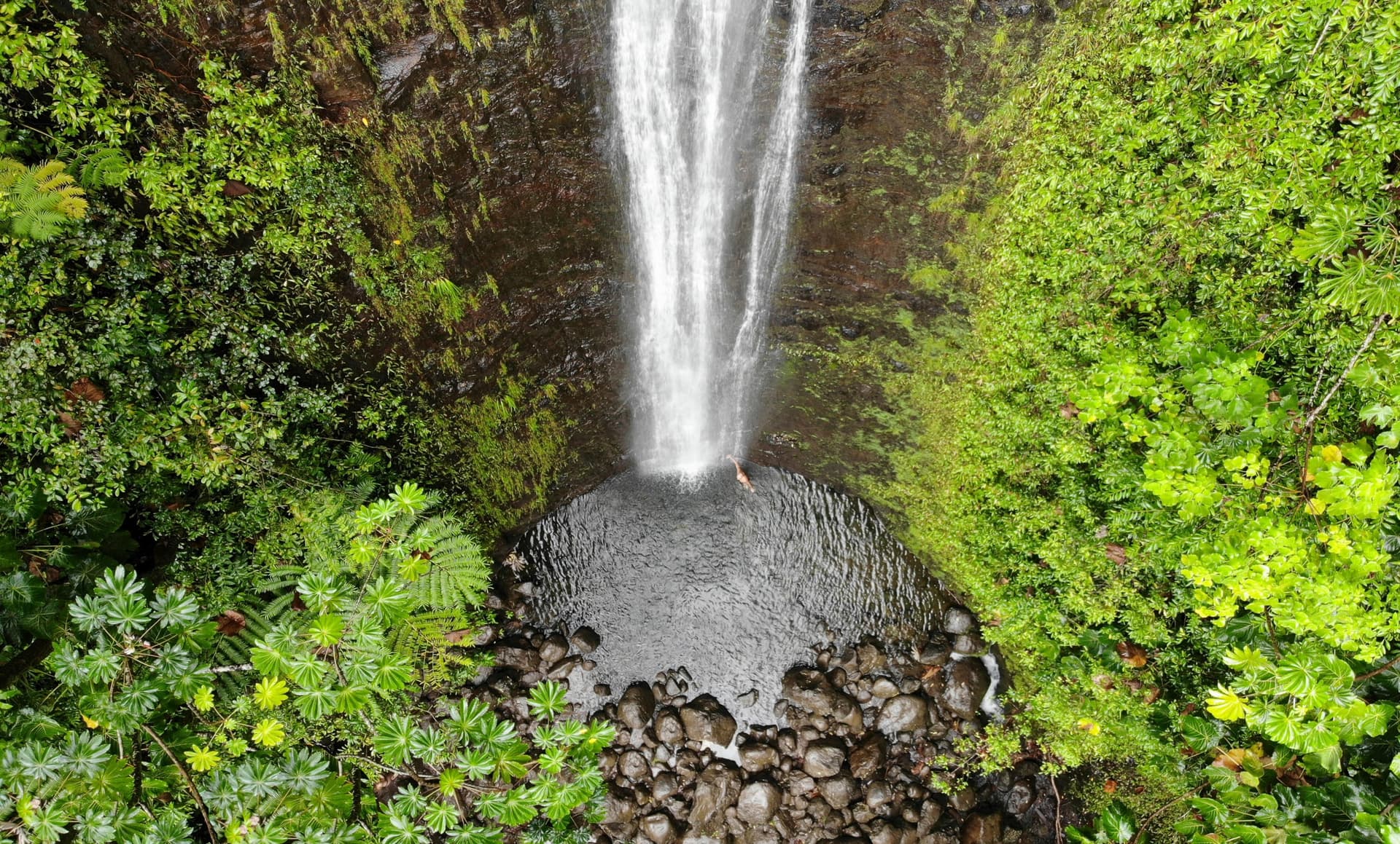 Manoa Falls: Hawaii's Majestic Natural Jewel on Oahu